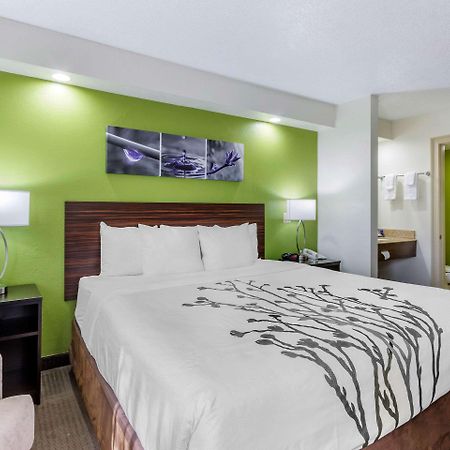 Sleep Inn Near Busch Gardens - Usf Temple Terrace Dış mekan fotoğraf