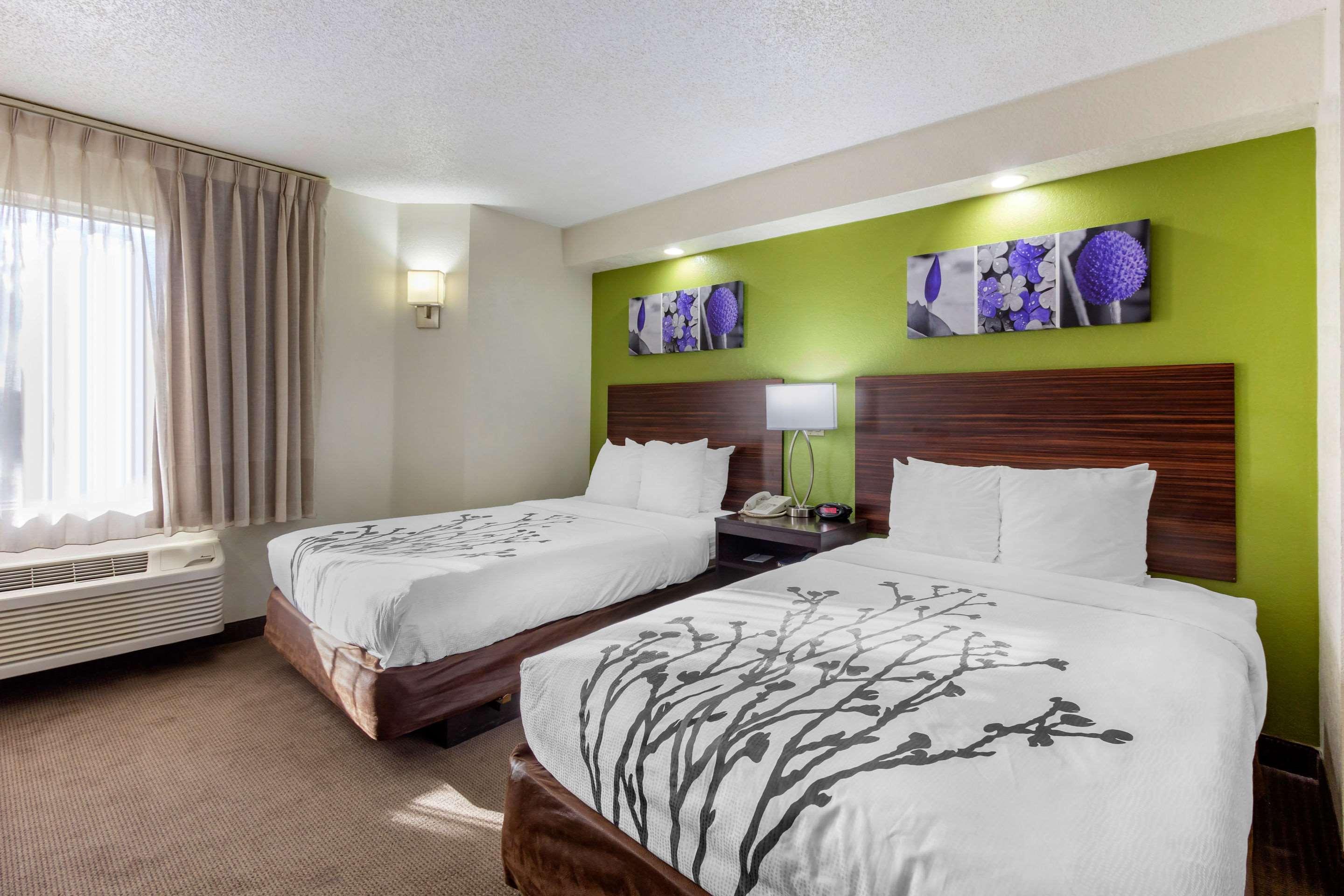 Sleep Inn Near Busch Gardens - Usf Temple Terrace Dış mekan fotoğraf