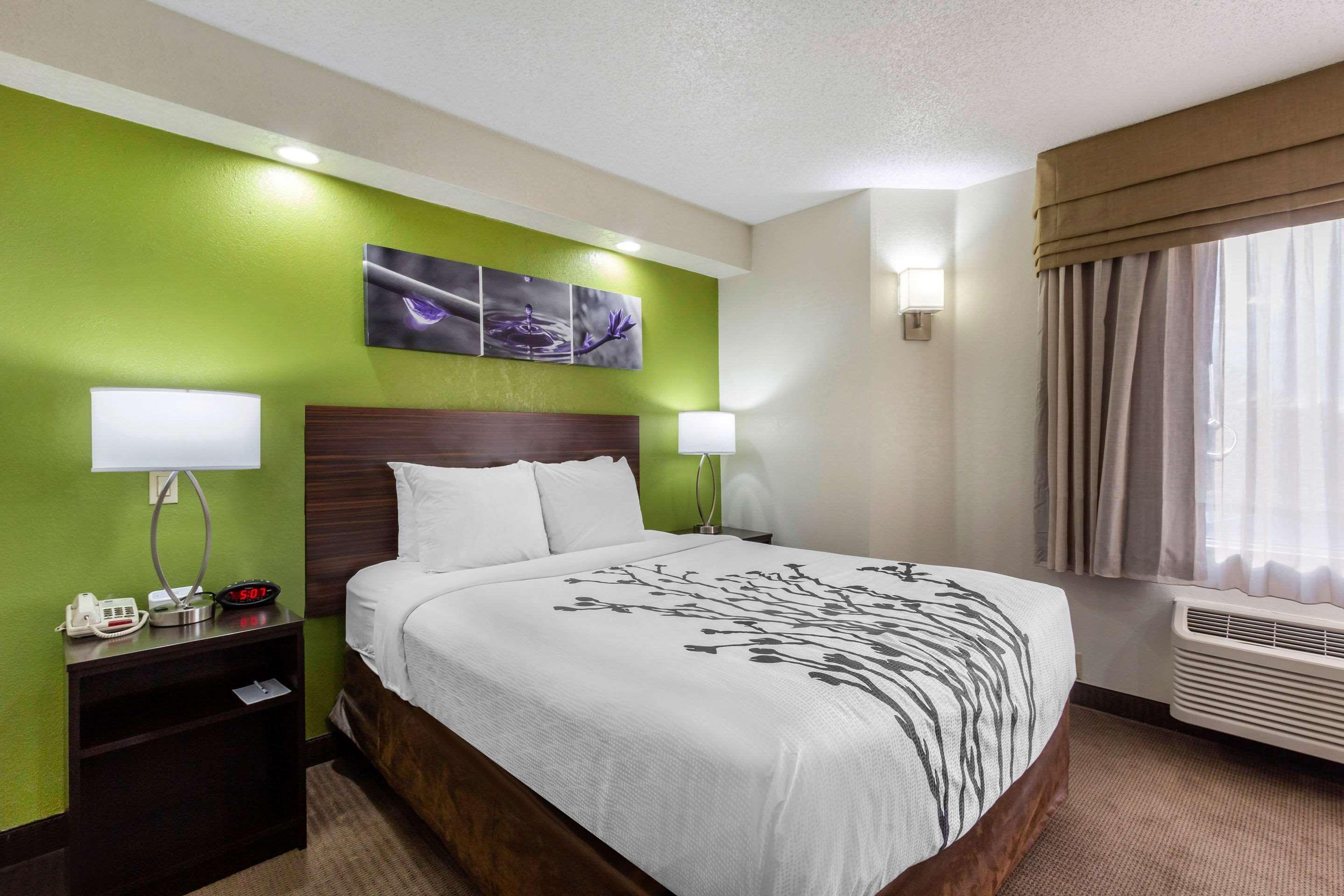 Sleep Inn Near Busch Gardens - Usf Temple Terrace Dış mekan fotoğraf