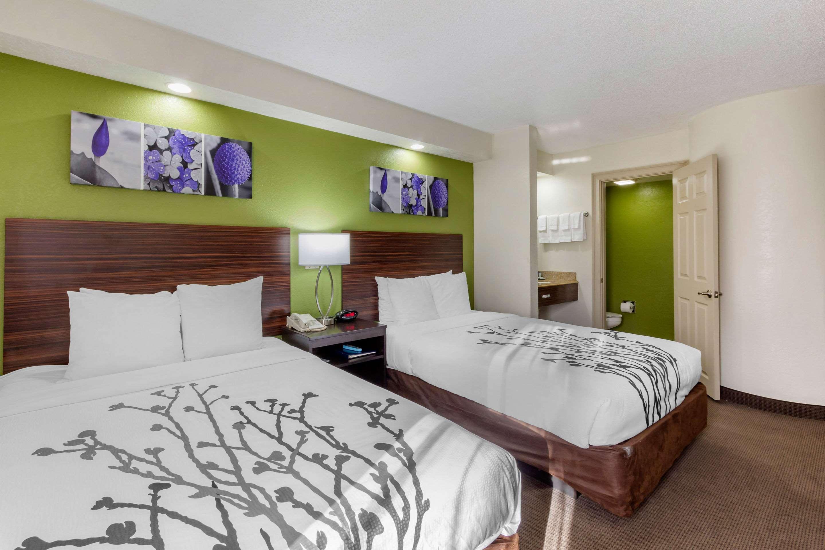 Sleep Inn Near Busch Gardens - Usf Temple Terrace Dış mekan fotoğraf