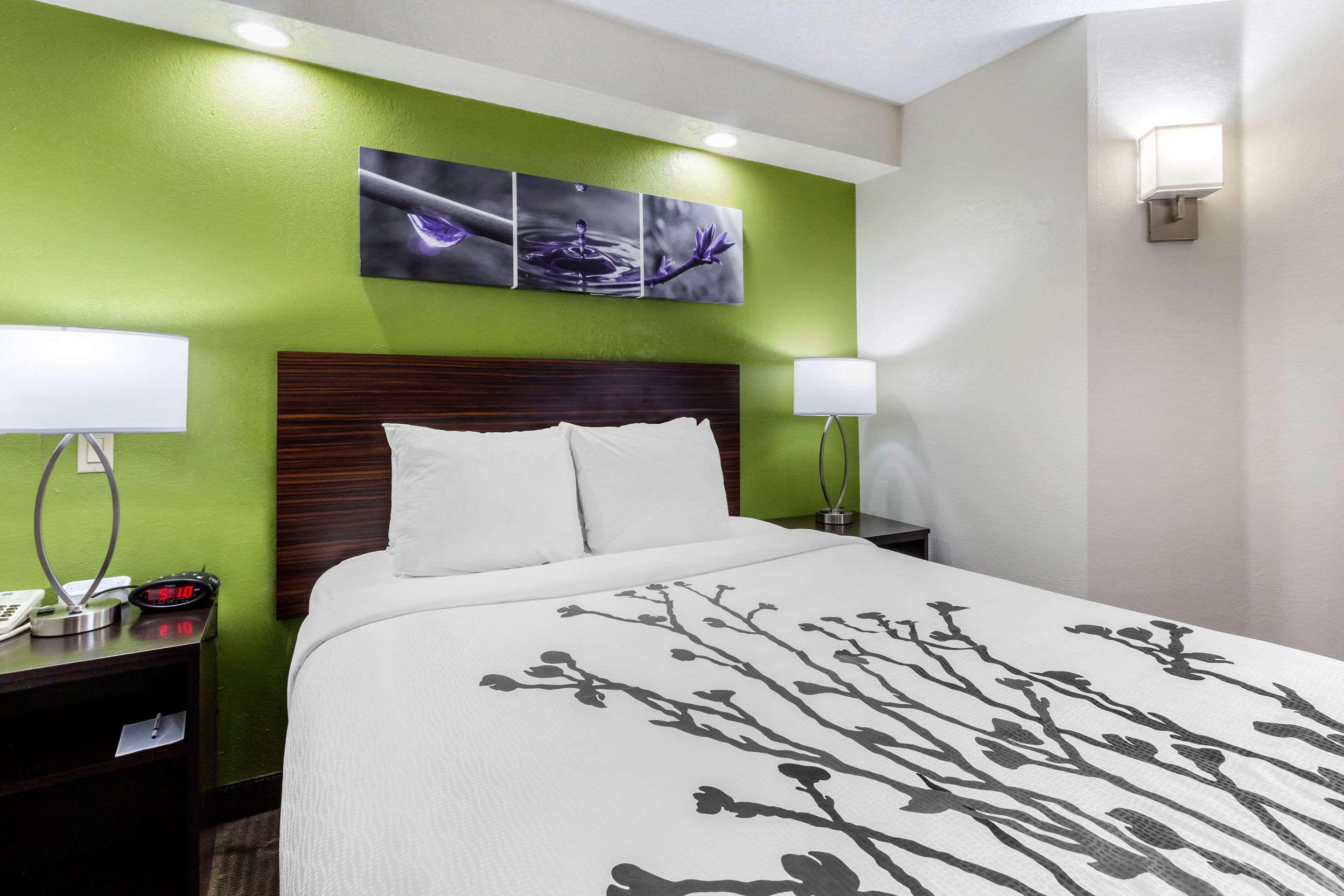 Sleep Inn Near Busch Gardens - Usf Temple Terrace Dış mekan fotoğraf