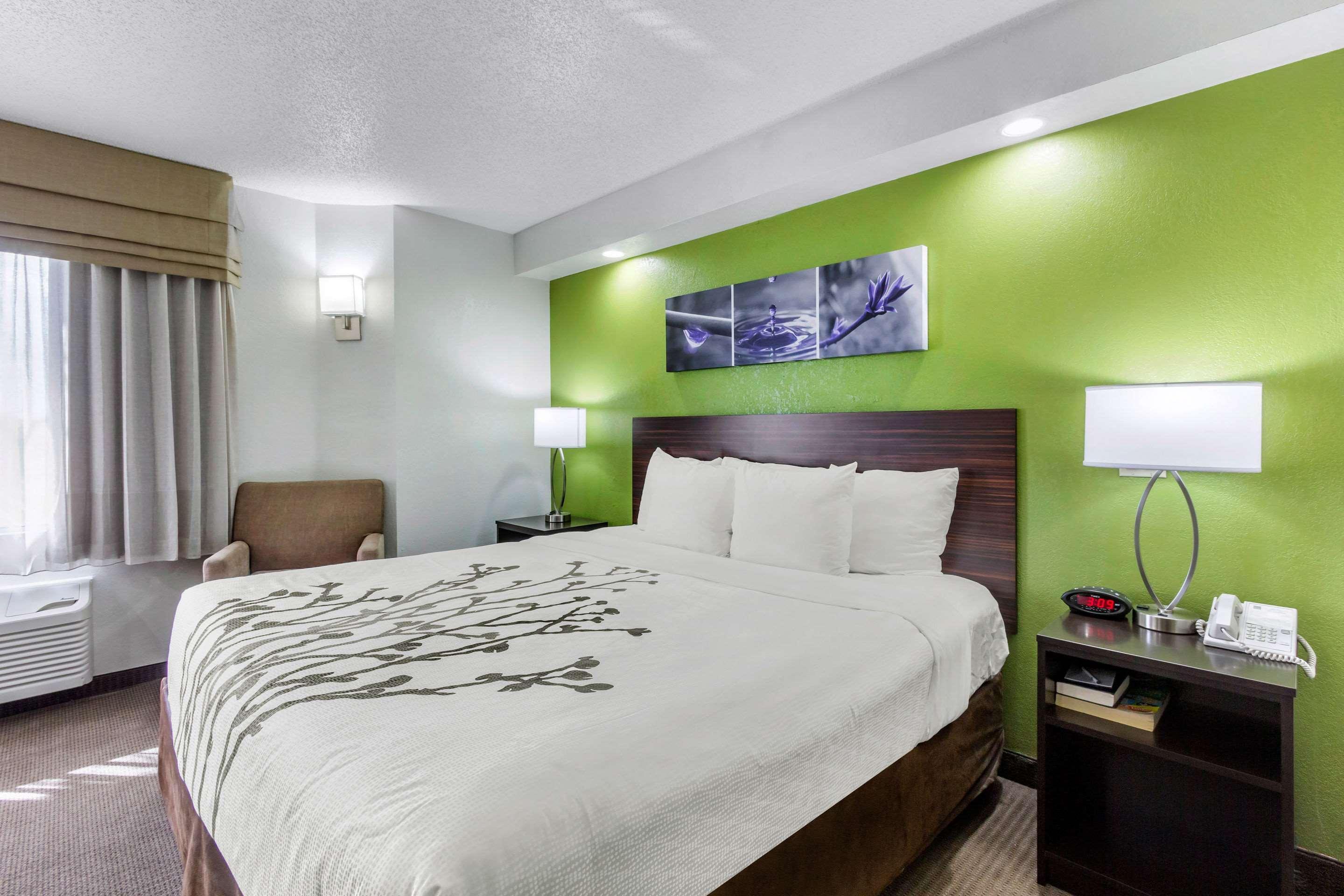 Sleep Inn Near Busch Gardens - Usf Temple Terrace Dış mekan fotoğraf