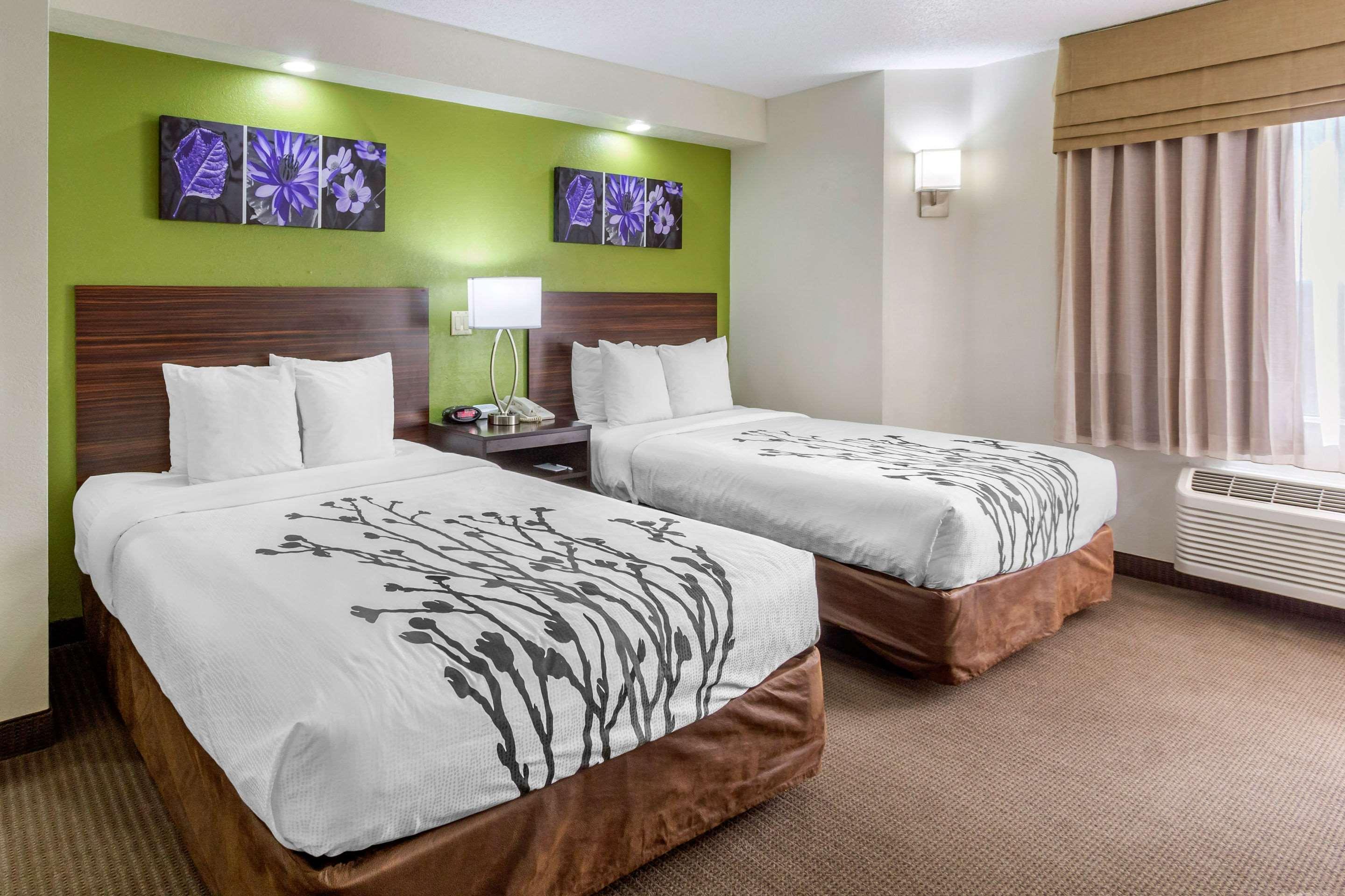 Sleep Inn Near Busch Gardens - Usf Temple Terrace Dış mekan fotoğraf